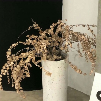 兽设四季场景设计Furry群